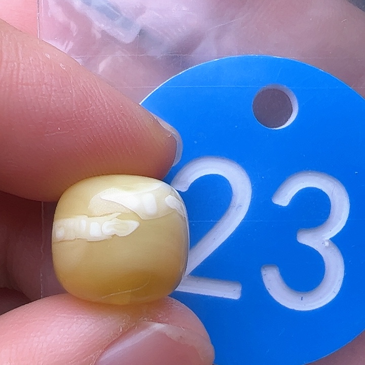 蜜蜡裸石未镶嵌花粉12.5m m