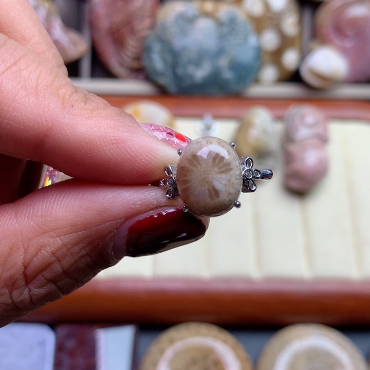 硅化珊瑚（珊瑚玉）颈饰未镶嵌