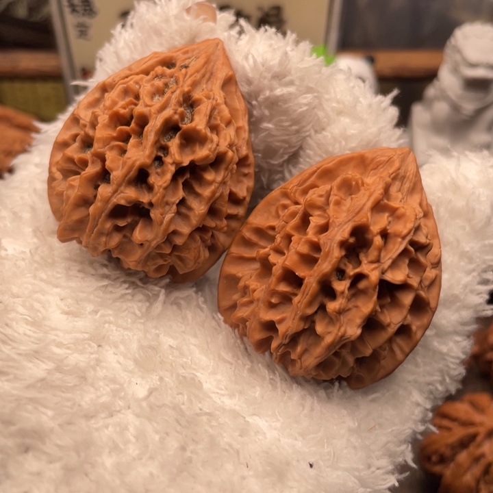 泥***山核桃38尺秦岭野生胖鸡