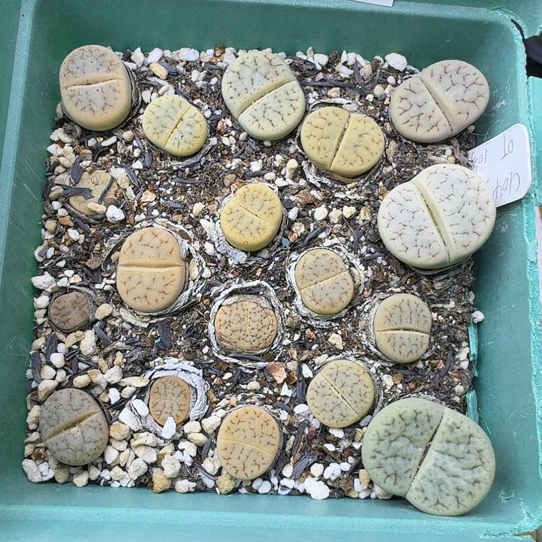 1563 哈哈哈哈哈哈哈哈哈哈