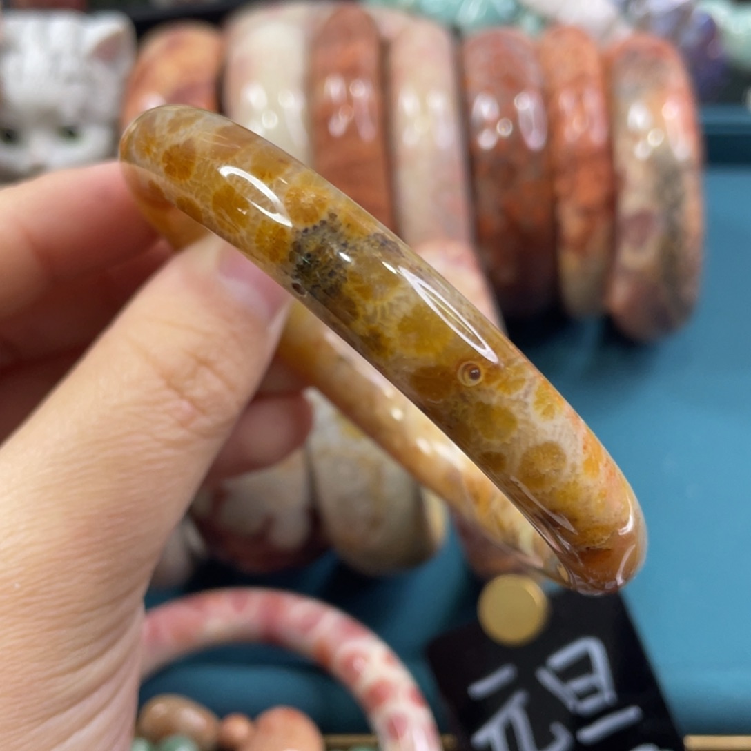 未镶嵌手镯硅化玉