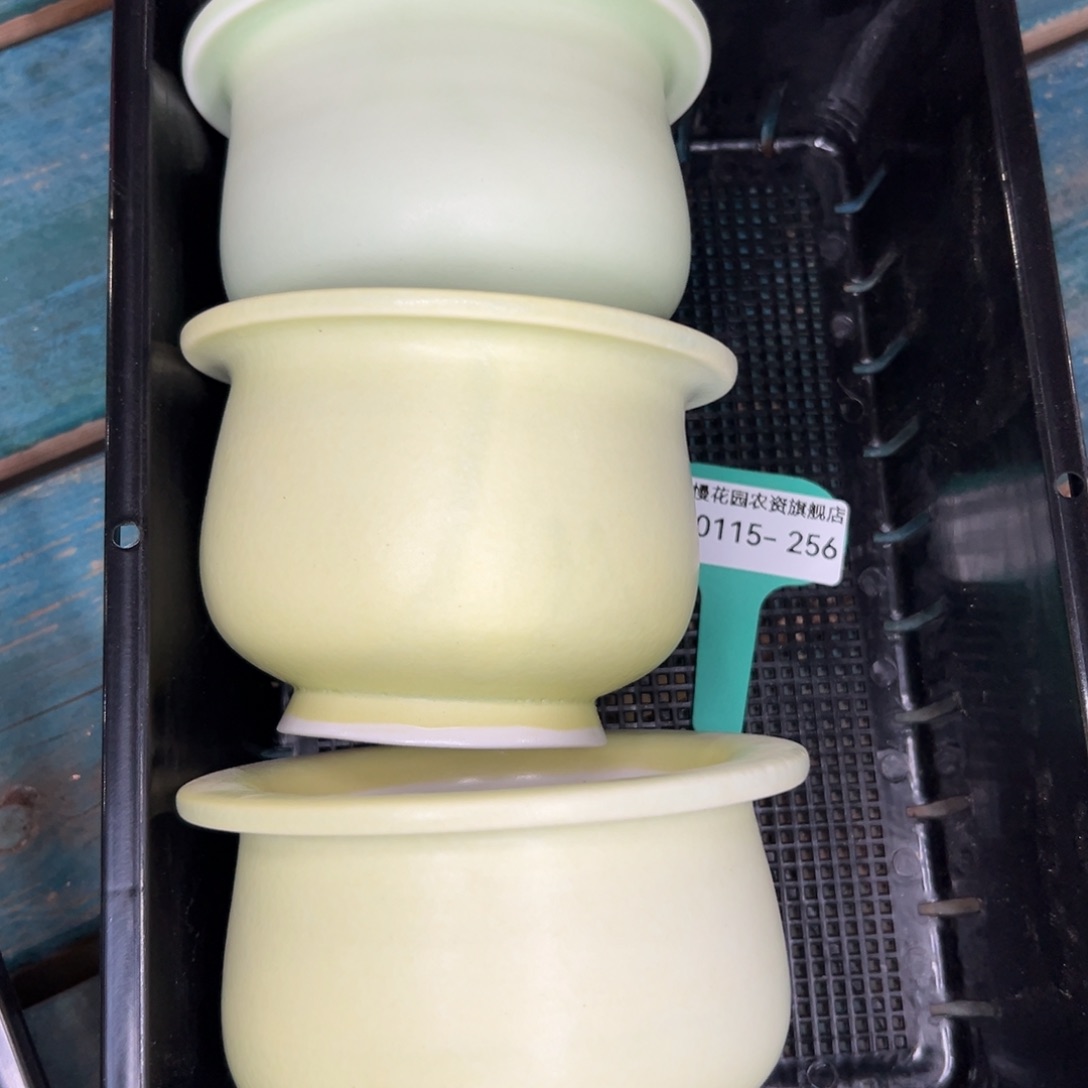 多肉一物一拍0115/256