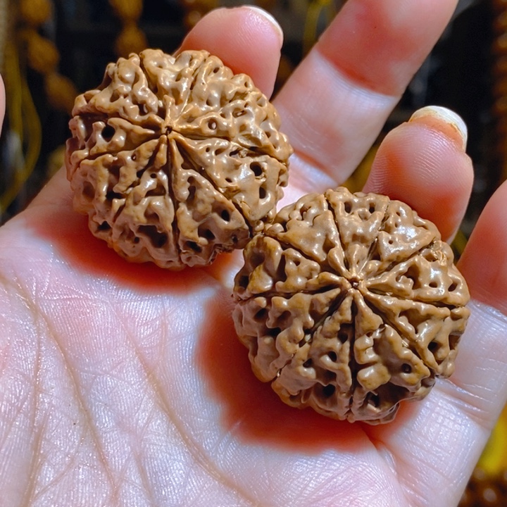 野生多半大金刚把件