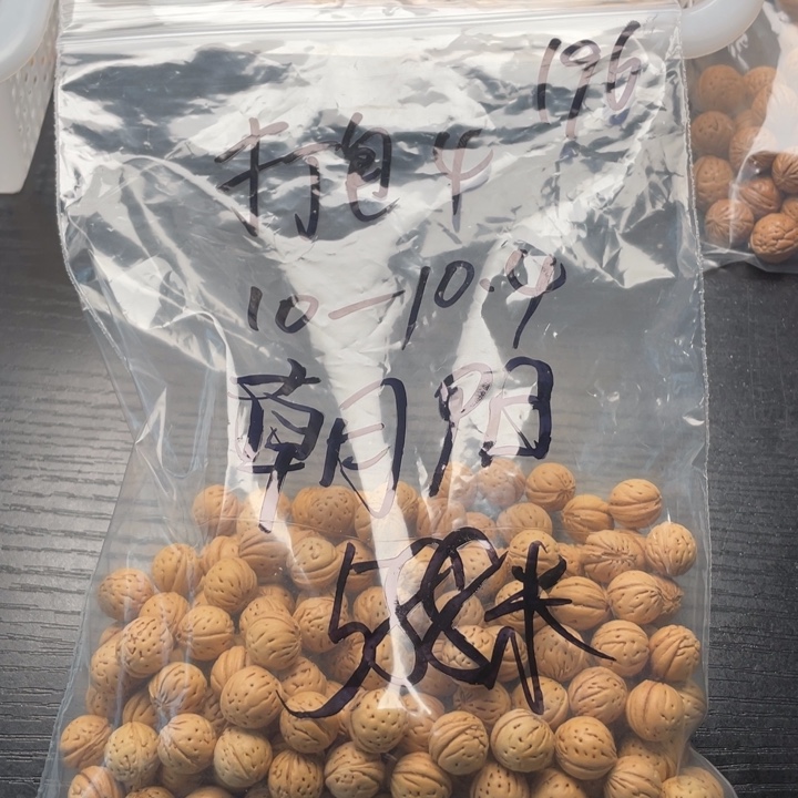 朝***雨小桃核散籽批发588