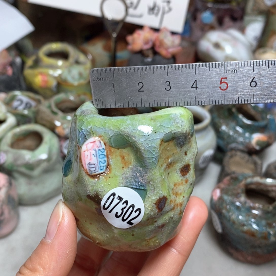 花盆拍3送一个小礼物