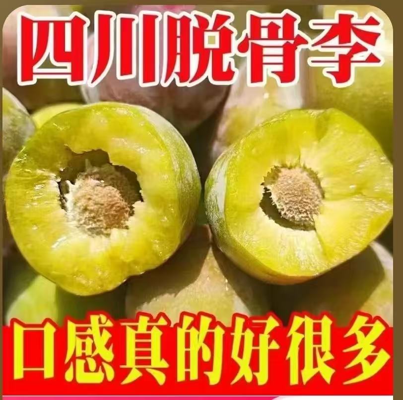 【不带一点红】正宗脱骨李新鲜应季水果四川青脆李酸甜爽口