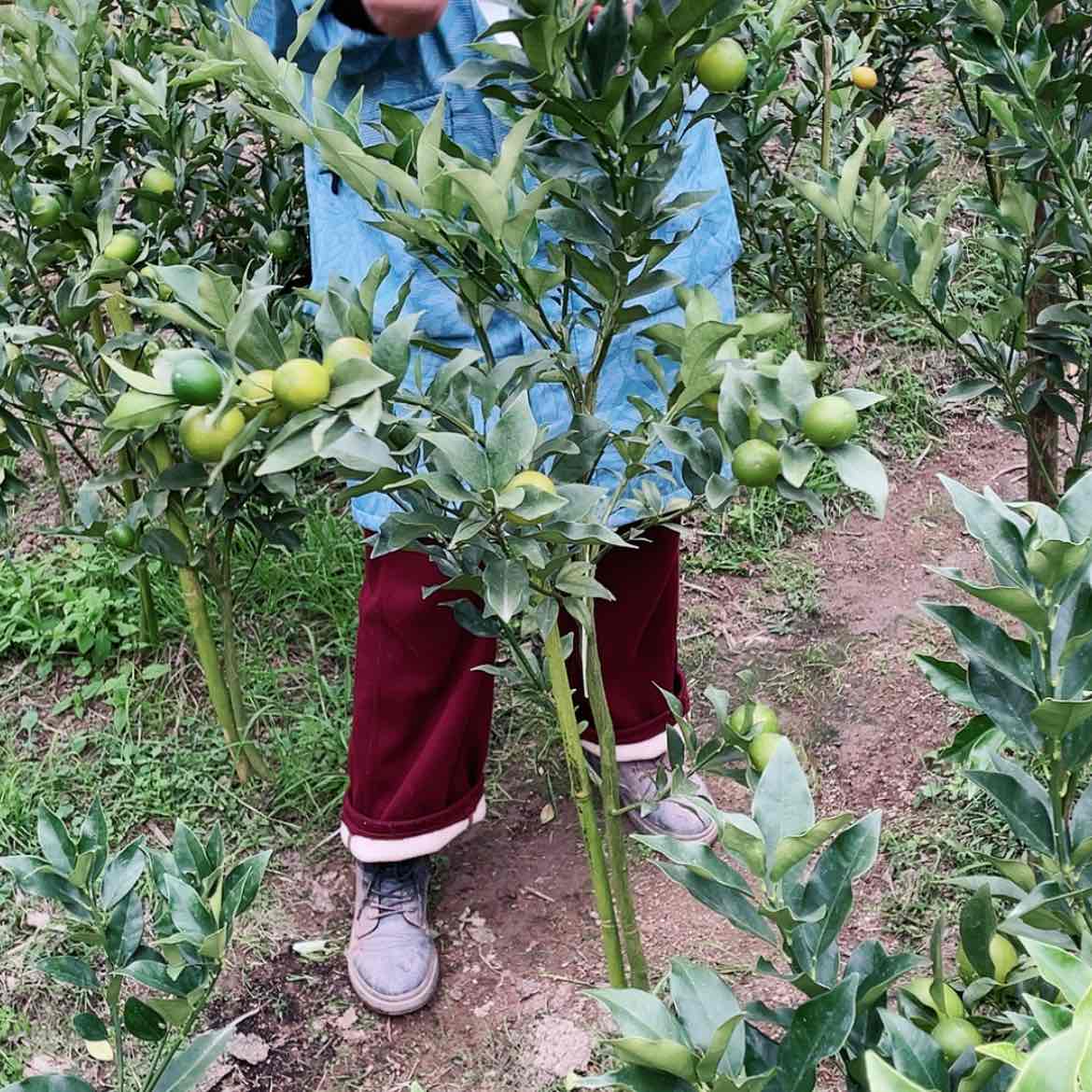 【闪购商品】完全开放刘****宇