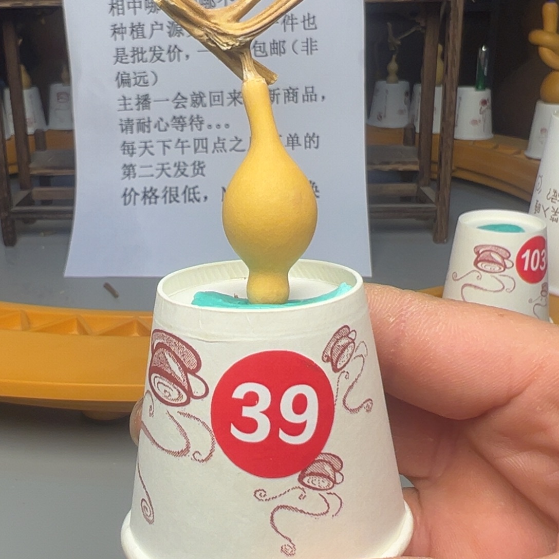 闪电购自助下单编号39