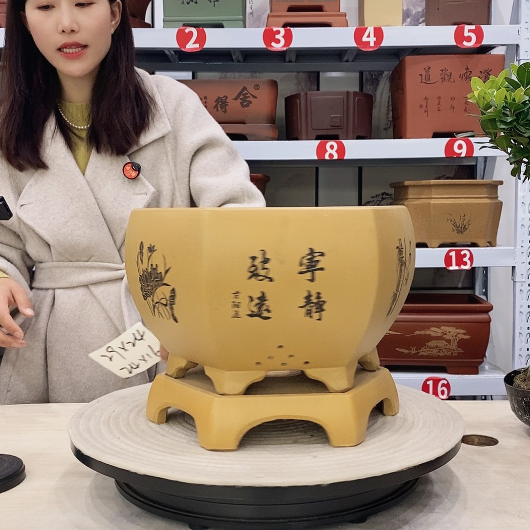 紫砂花盆紫砂花盆