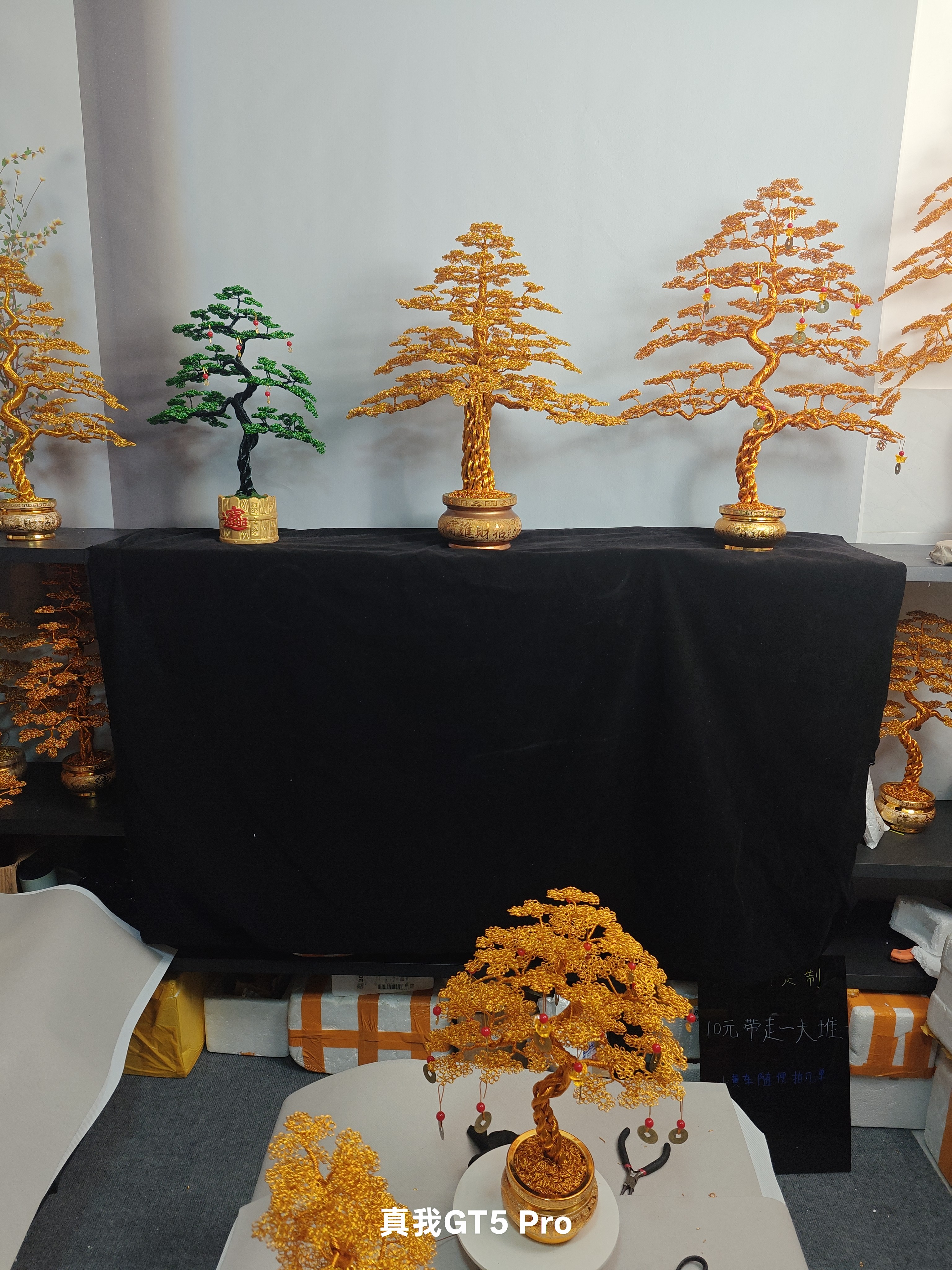 (发财树尾货除理适合家摆)联系客服发实图家用黑色绿色