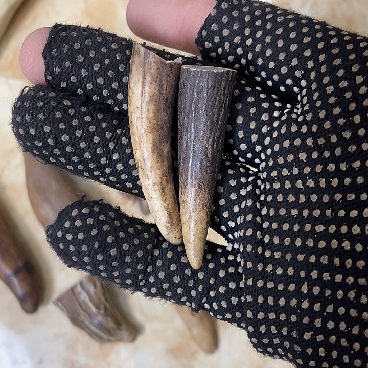 鹏***大叶紫檀（黑酸枝木类）