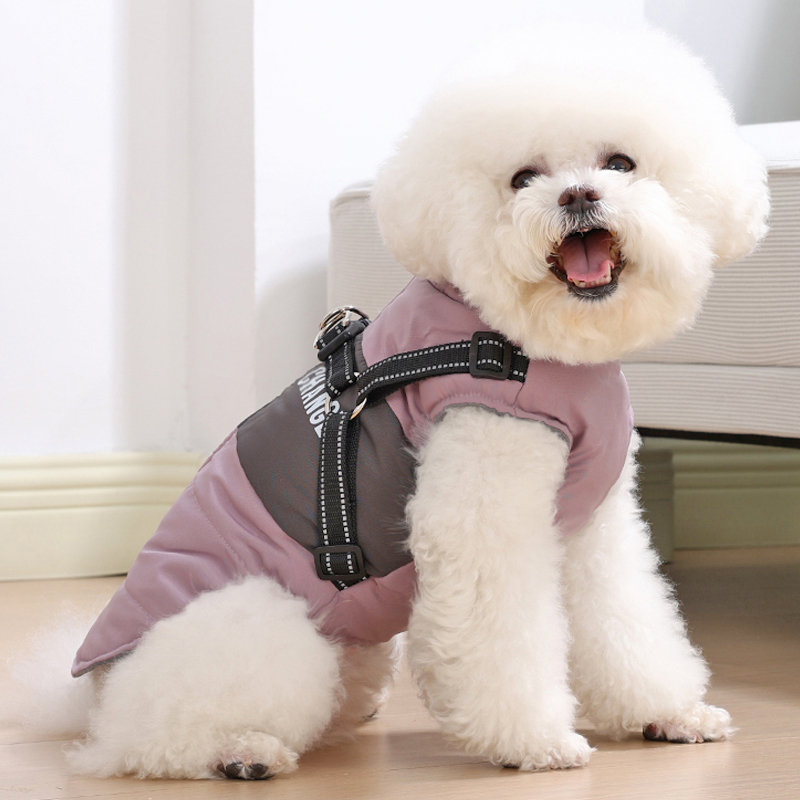 秋冬季狗狗衣服小型犬比熊泰迪保暖棉衣可牵引博美加厚防寒两脚衣
