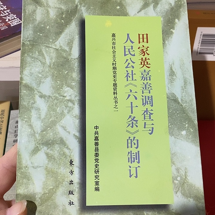 微瑕 六十条制定 一本