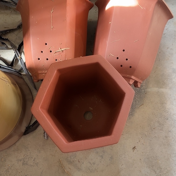 23×25共12只       