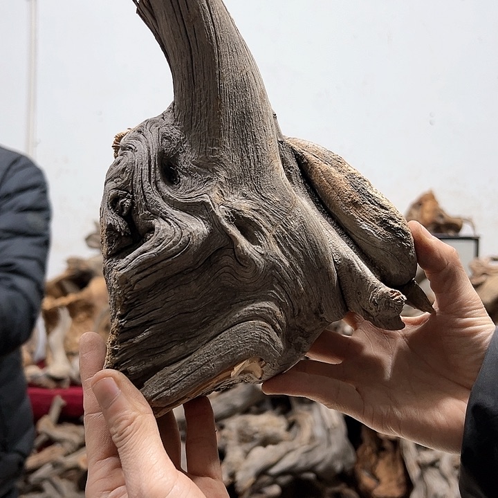 柏木华*我们的生活也会变