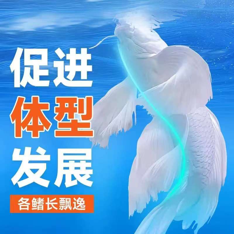 益口蝴蝶鲤鱼粮饲料不浑水上浮型优质营养易消化