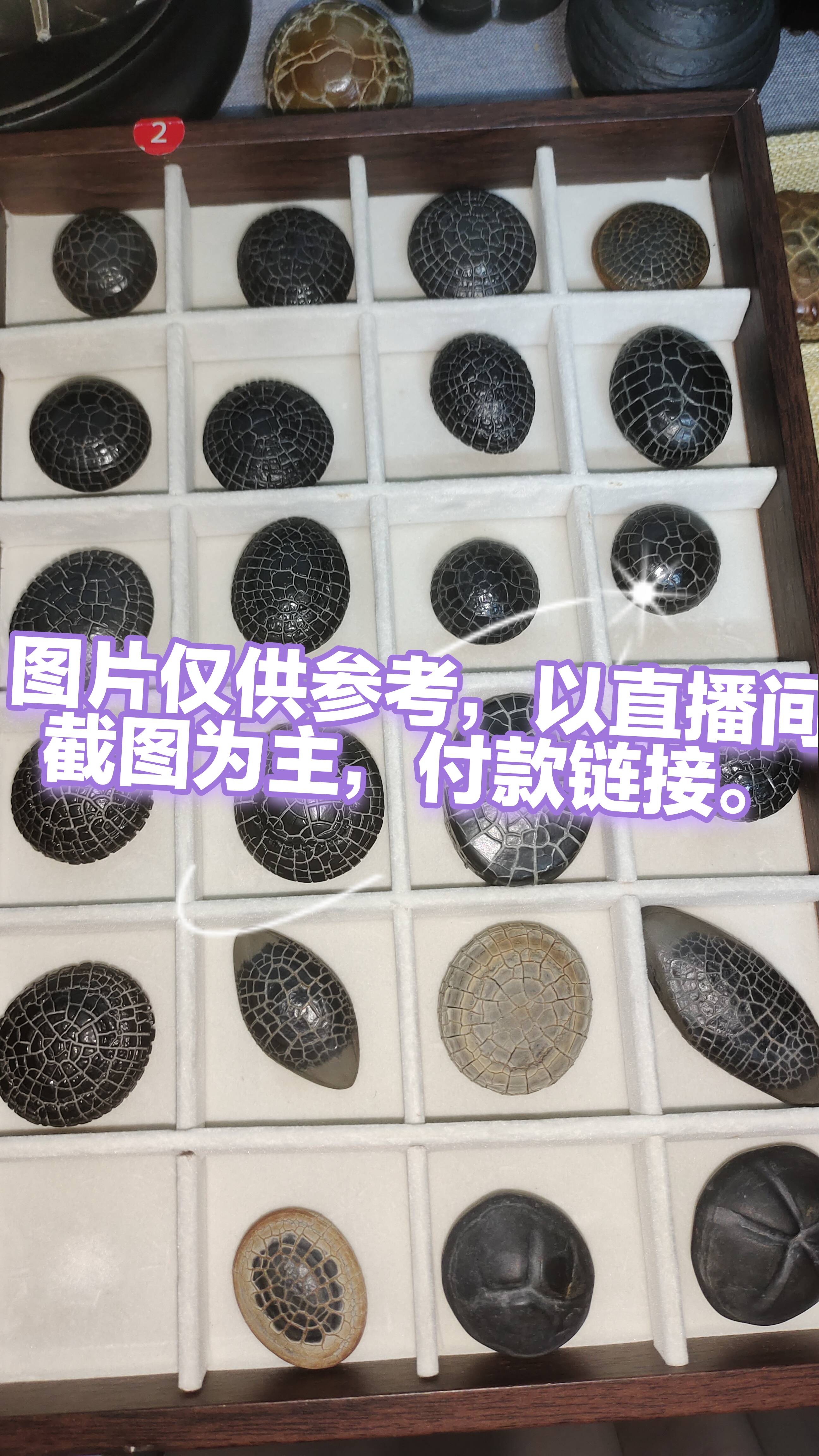 湖南郴州龟纹石，精品，一石一价，尺寸6公分左右