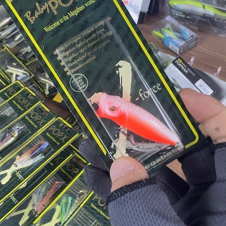 闪购专拍（图片为主）