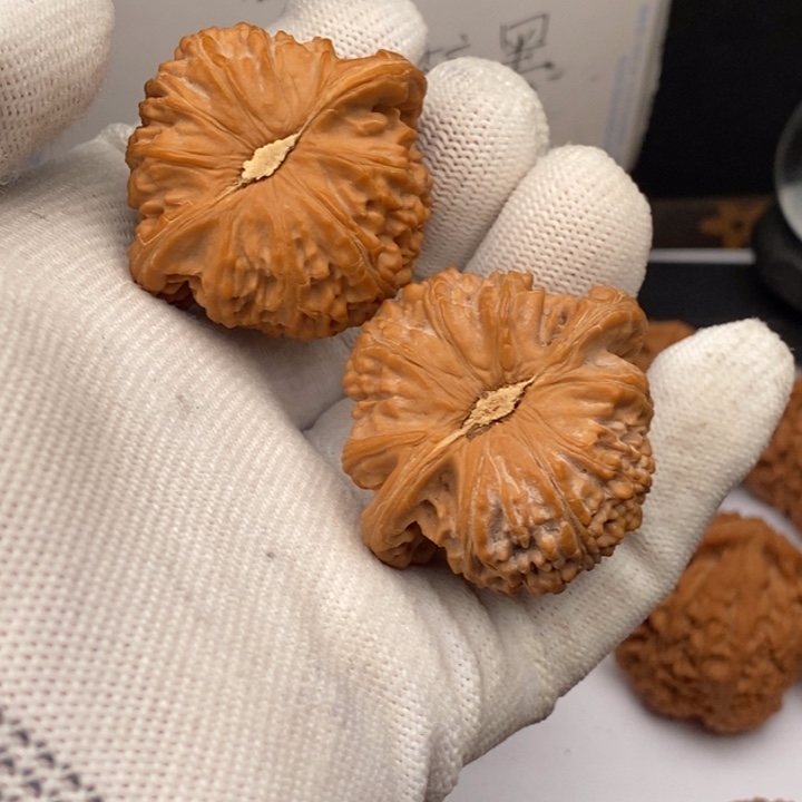 把件文玩核桃H****e白狮子41尖部有黄