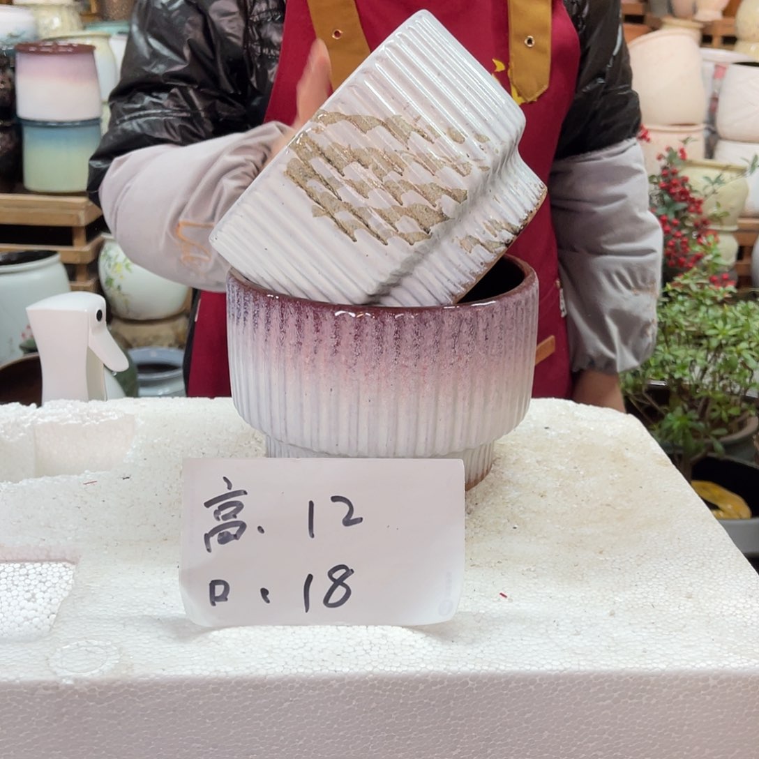 红陶高度12口径18