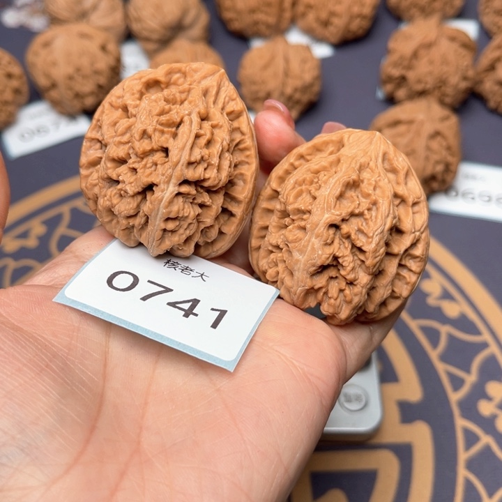 文玩核桃把件43大粗筋 0741
