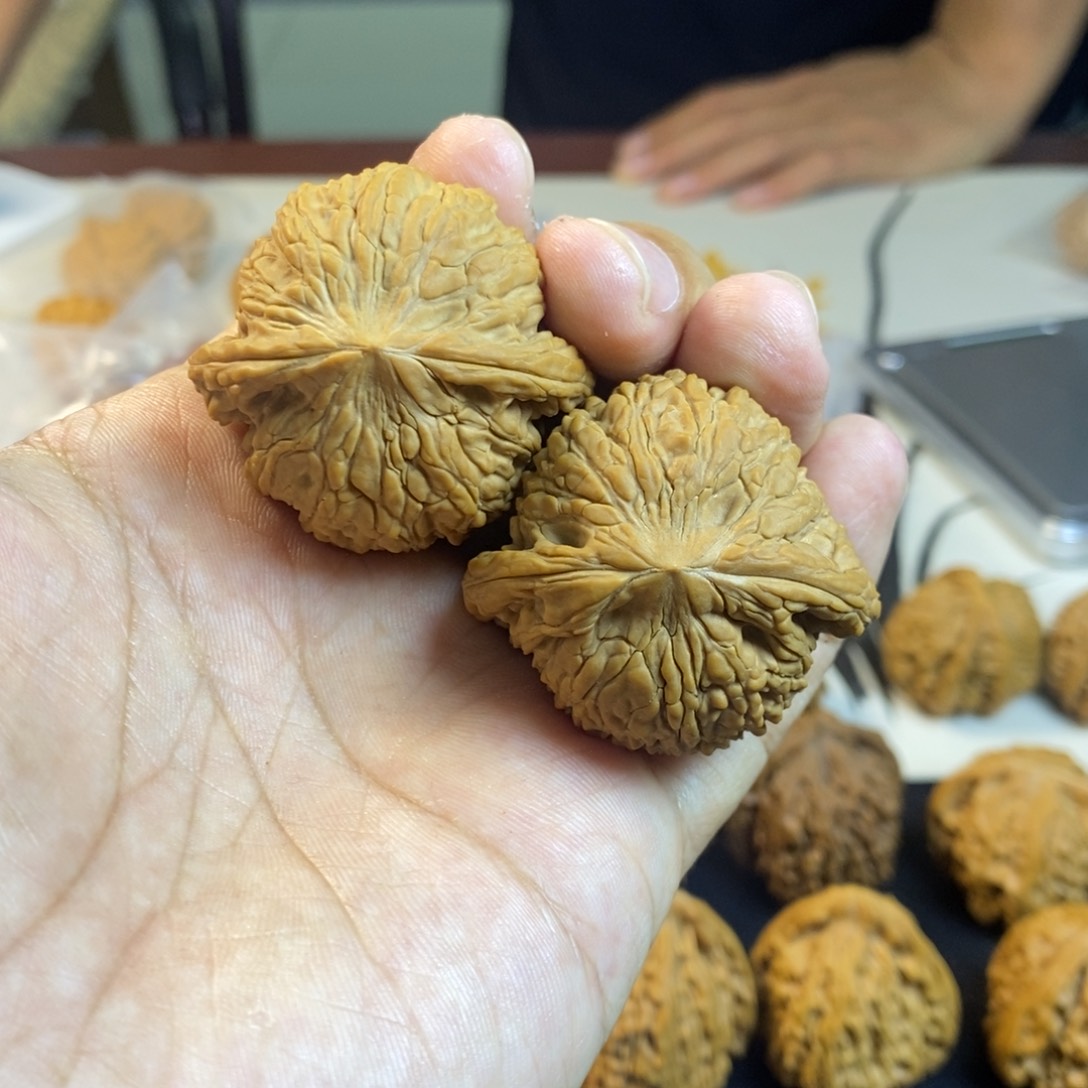 文玩核桃把件泥鳅背95