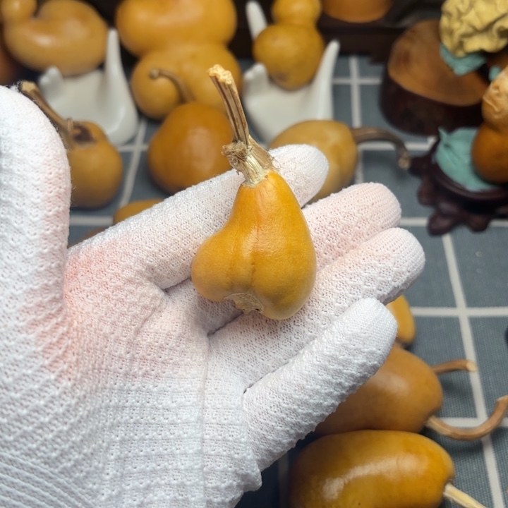 断***点坑葫芦6666666666666666