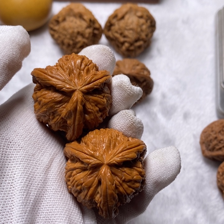 Y***三棱得得得得得得得