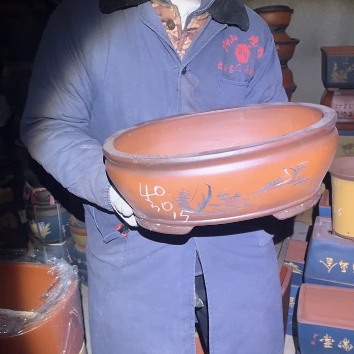 紫砂紫砂花盆和红花