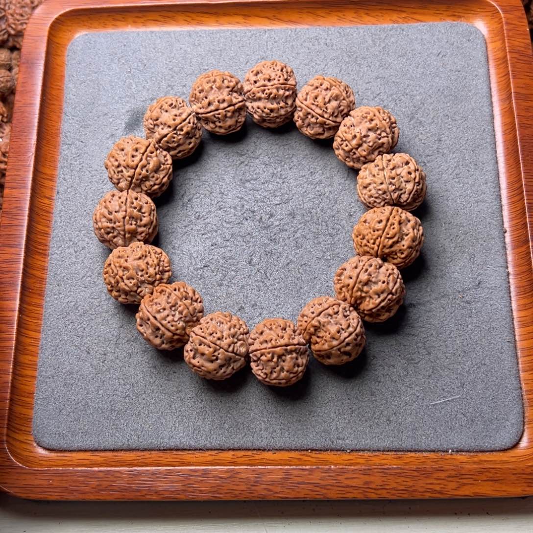 菩提1号金刚菩提原生态六瓣22