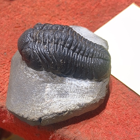 石材家居装修设计风格