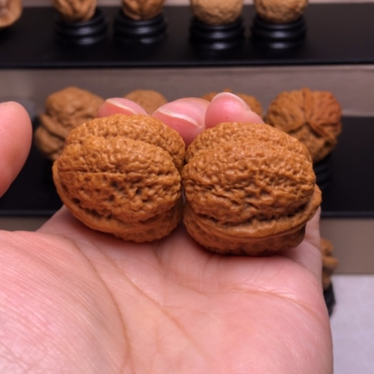 文玩核桃把件玛**达古树蚂蚁开背金蟾王15