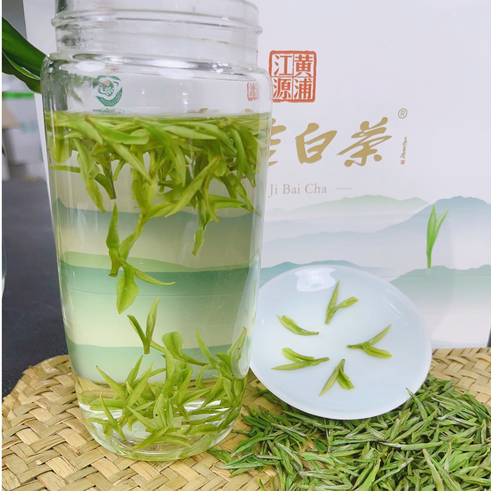 【店庆半价小肥芽】25年高货昆铜安吉白茶兰香型明前头采鲜罐装绿茶