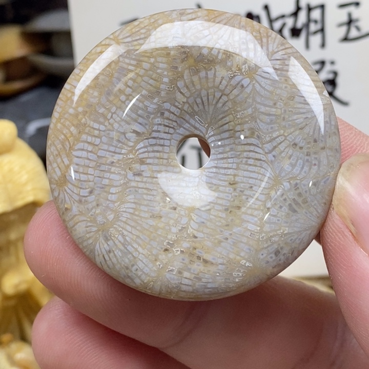 硅化珊瑚（珊瑚玉）未镶嵌颈饰