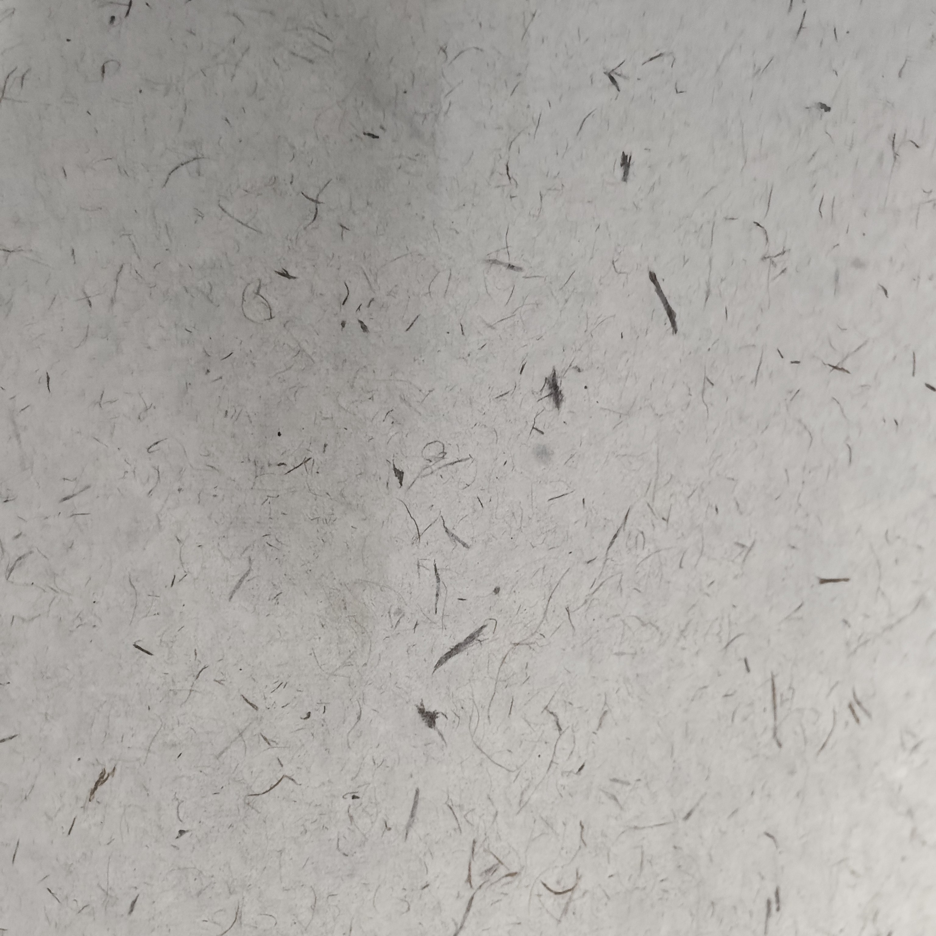 纯手工正八尺长纤维宣纸5张卷