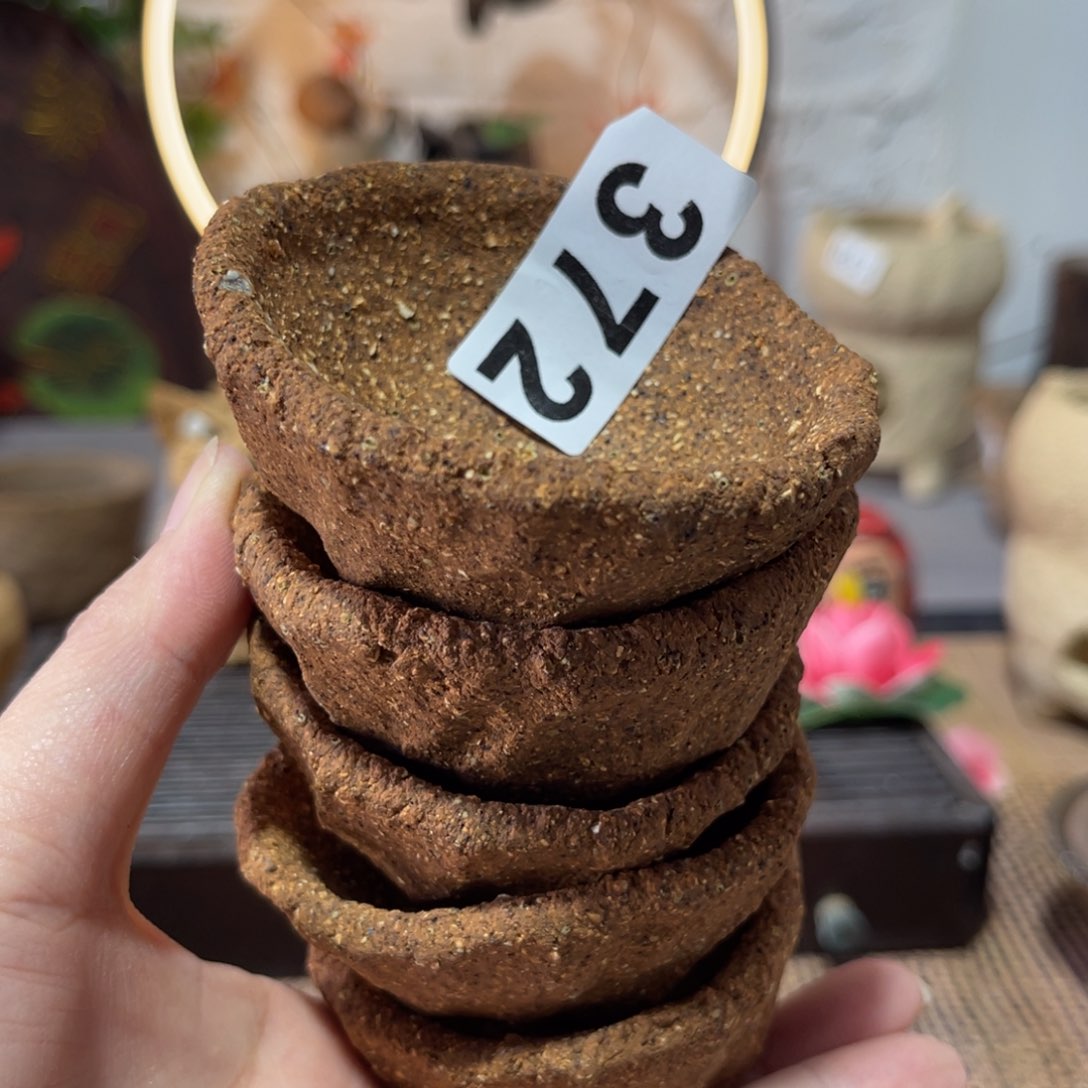 木村信弘柴烧保平