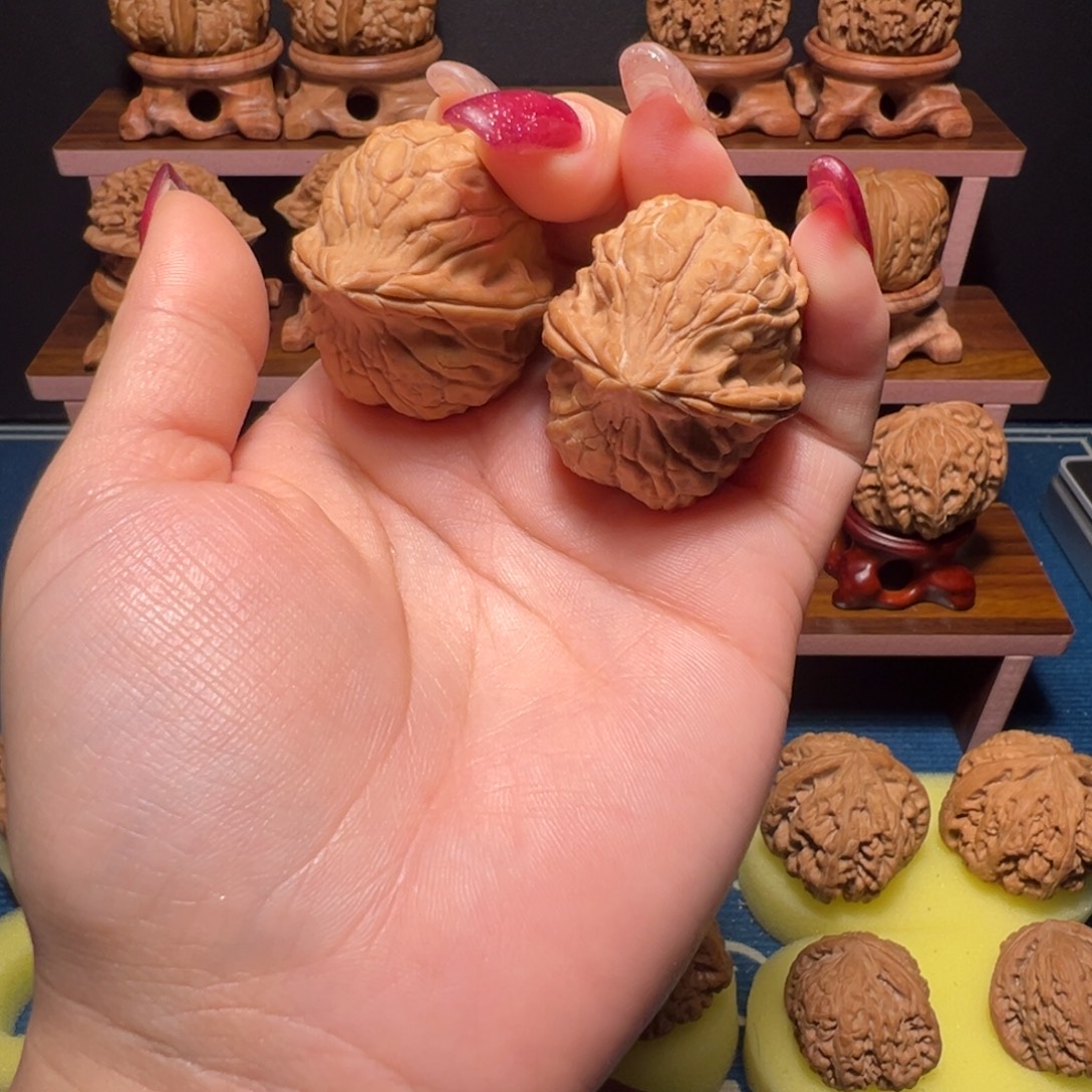 木质全品无修龟甲文