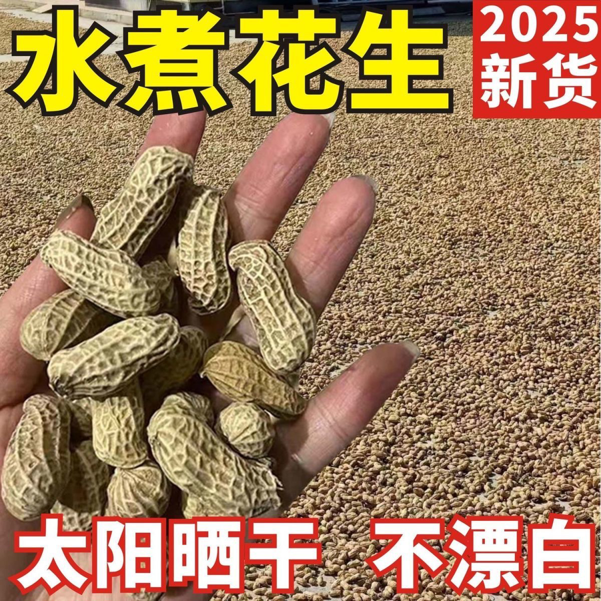 阿花精选  莆田7月新水煮日晒原味白晒花生 