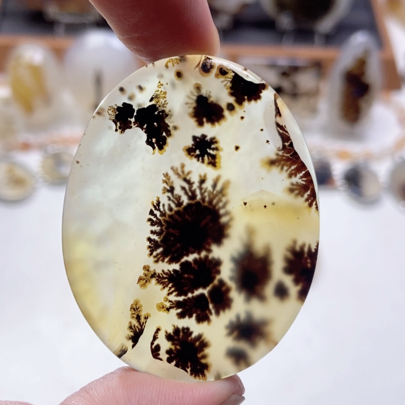 【闪购商品】玛瑙/玉髓颈饰未镶嵌