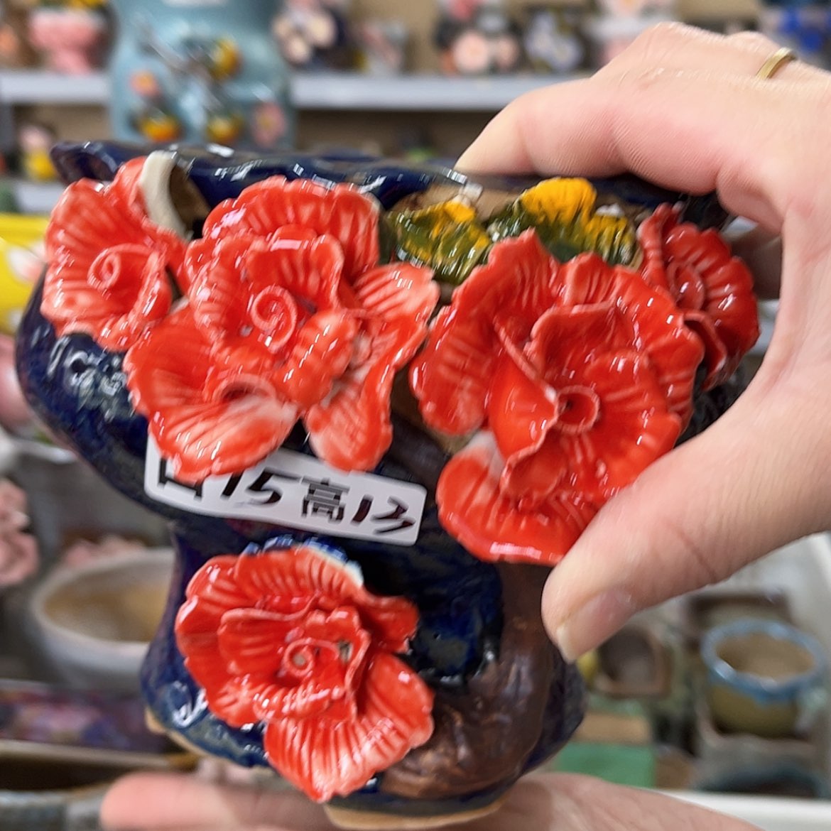 【闪购商品】红陶福利