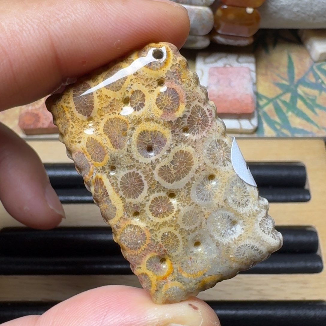 硅化玉饼干未镶嵌