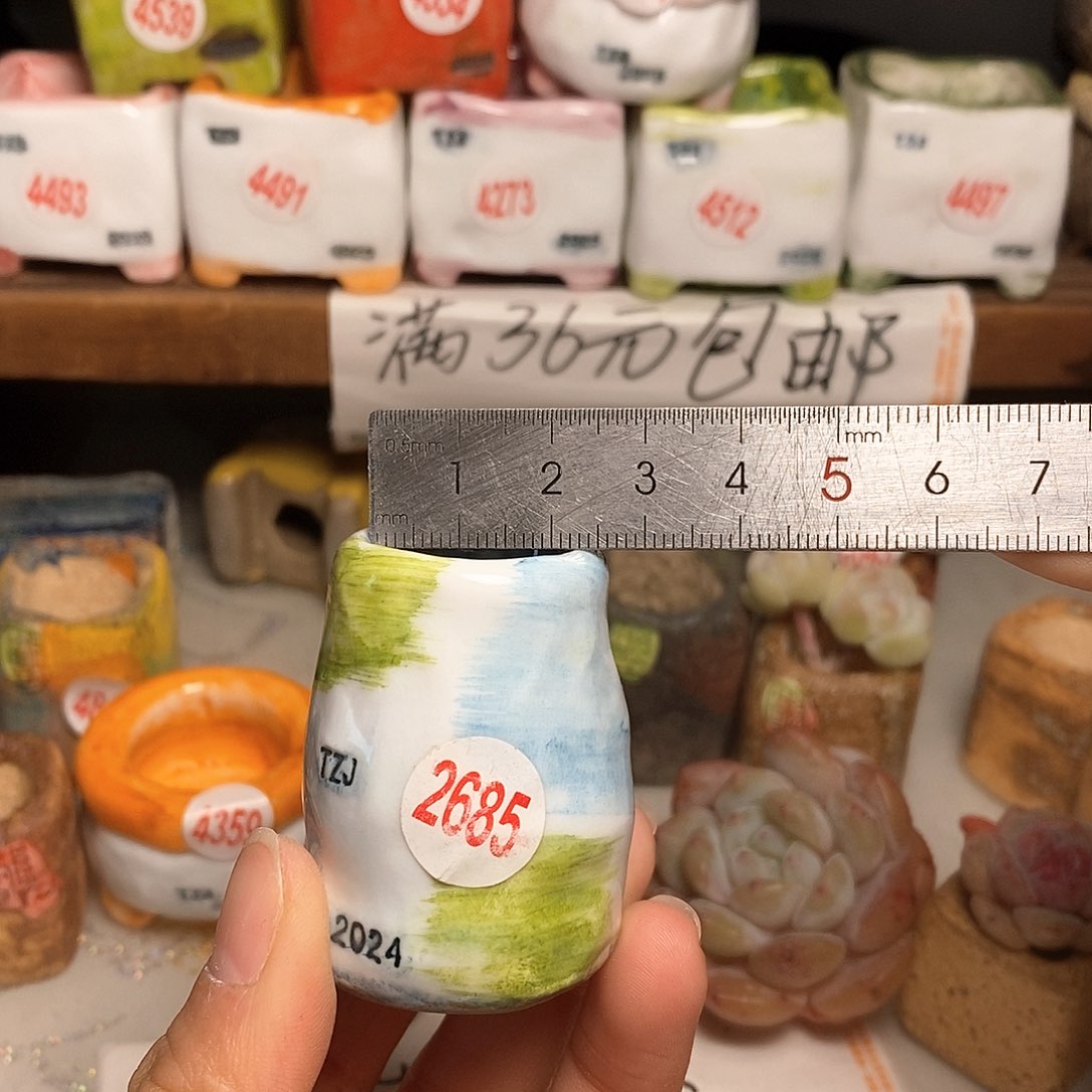 红陶拍5送一个小