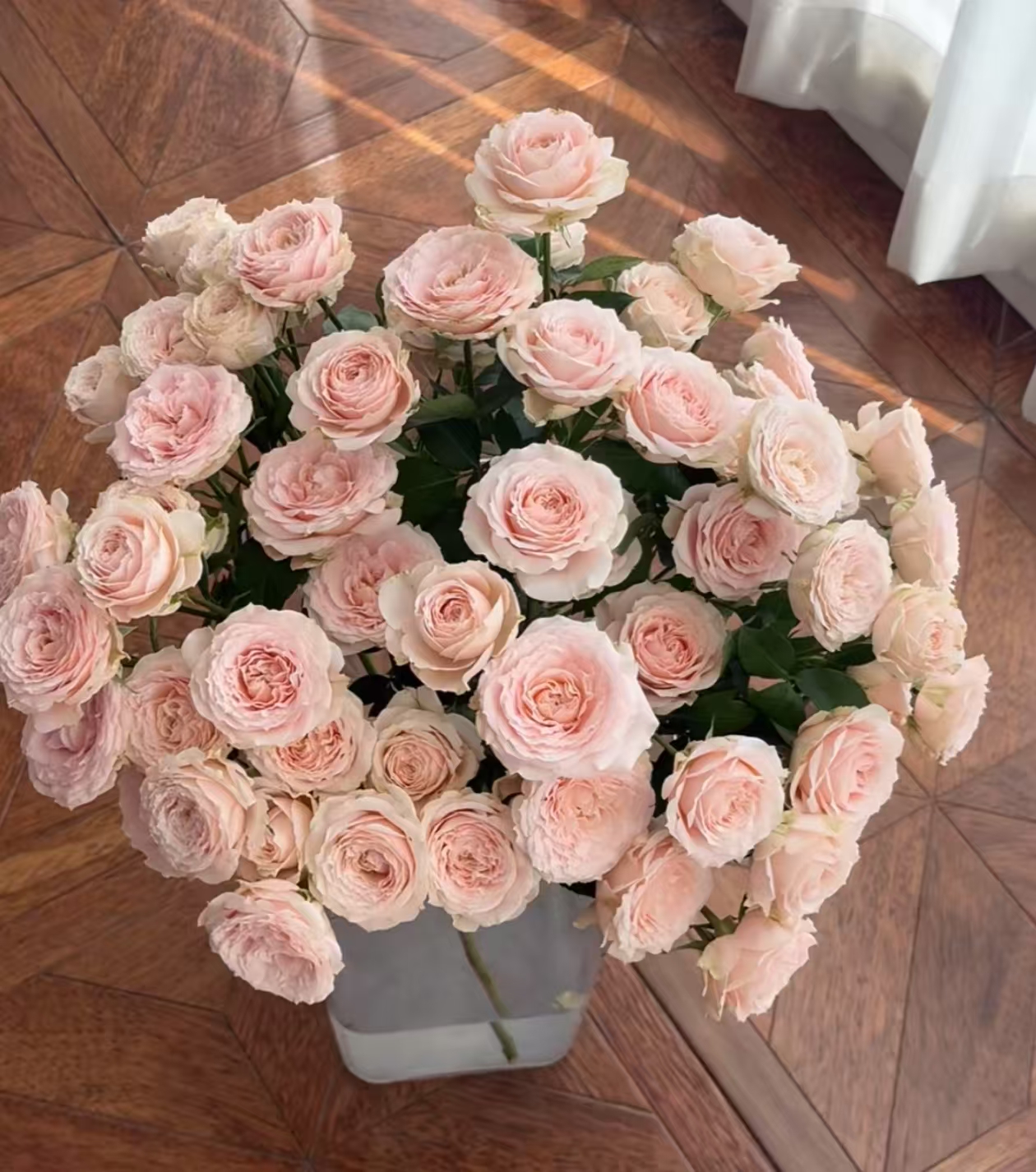 顺顺 珍妮贝儿多头玫瑰9支+1支防损 拍2单以上升级快递 