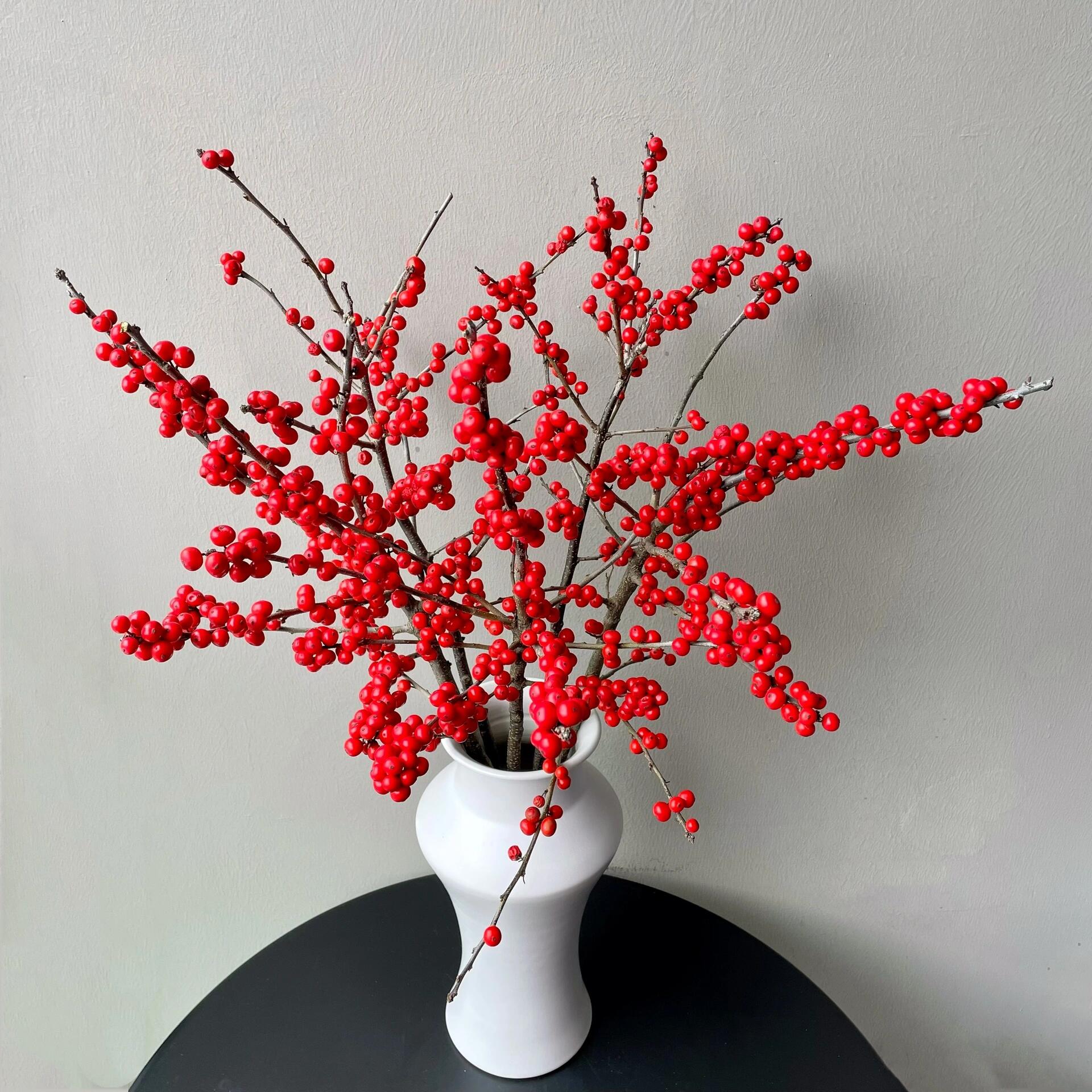  【A+级50CM北美冬青切枝】云南源头基地直发 鲜切花 节日花 年宵花