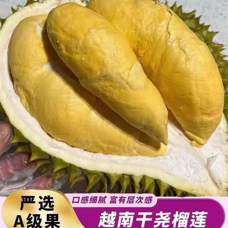 【干包黄肉】树上熟干尧榴莲新鲜核小核大【娄底同城】一物一拍1-10斤干尧越南