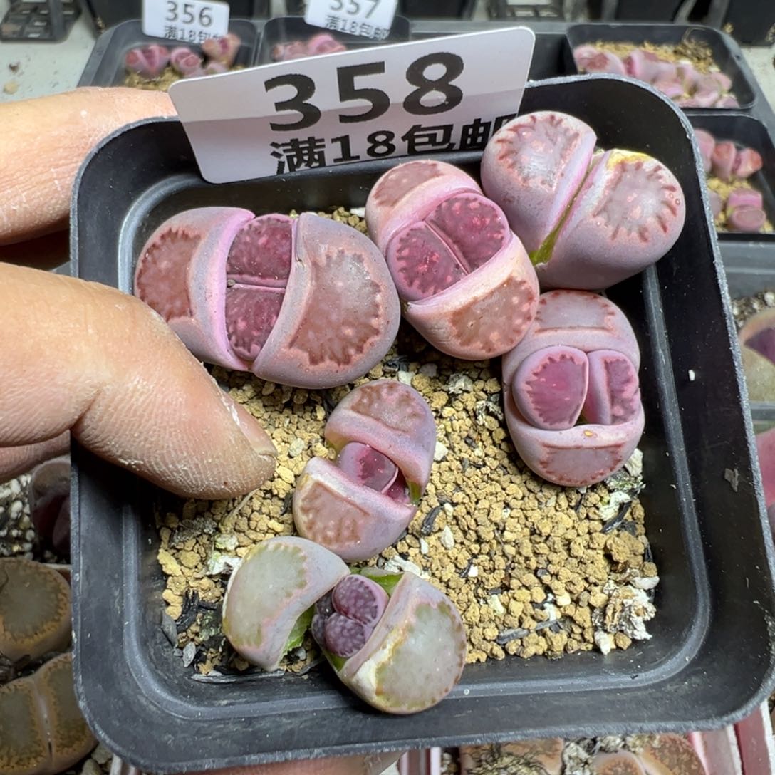 【闪购商品】 358。  