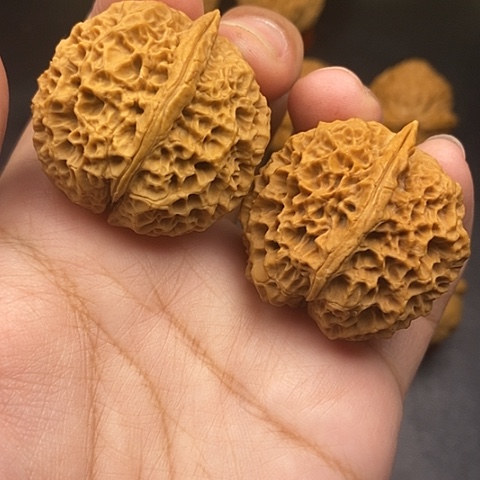 文玩核桃把件37尺荒古金蟾