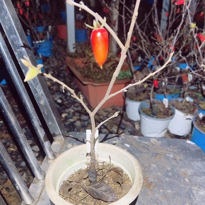 瞩***远无花朵哈哈哈哈哈哈哈