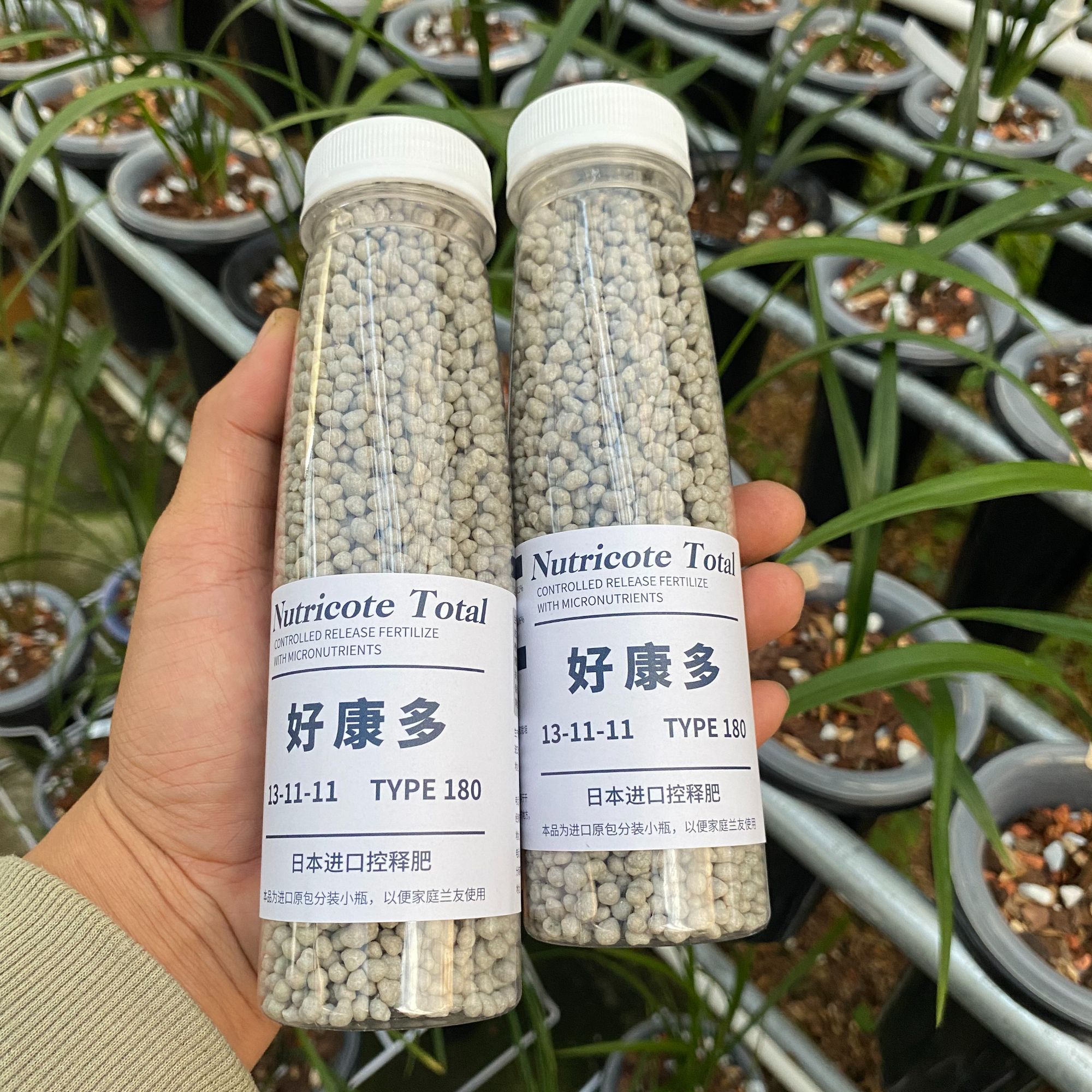 日本进口好康多兰花专用缓释肥13-11-11+TE