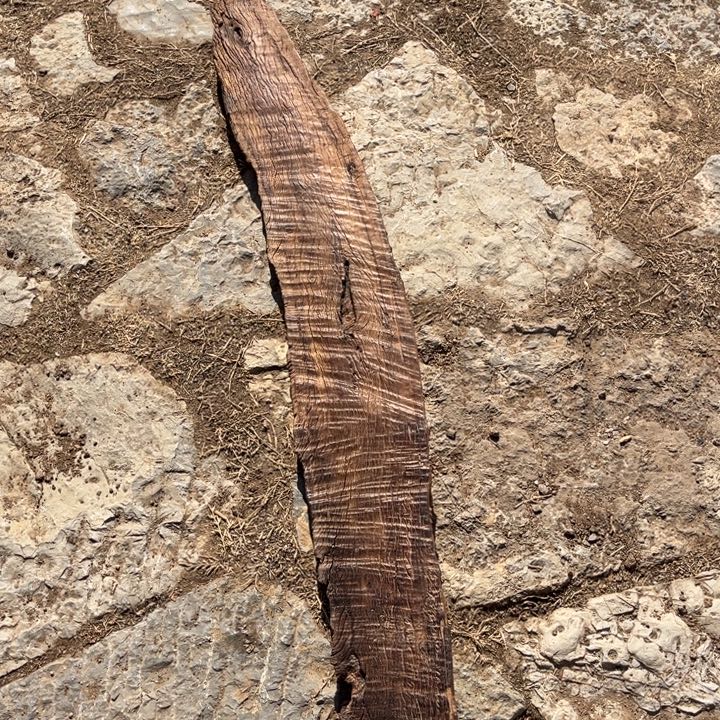 香榧木鹿**了老物件木木